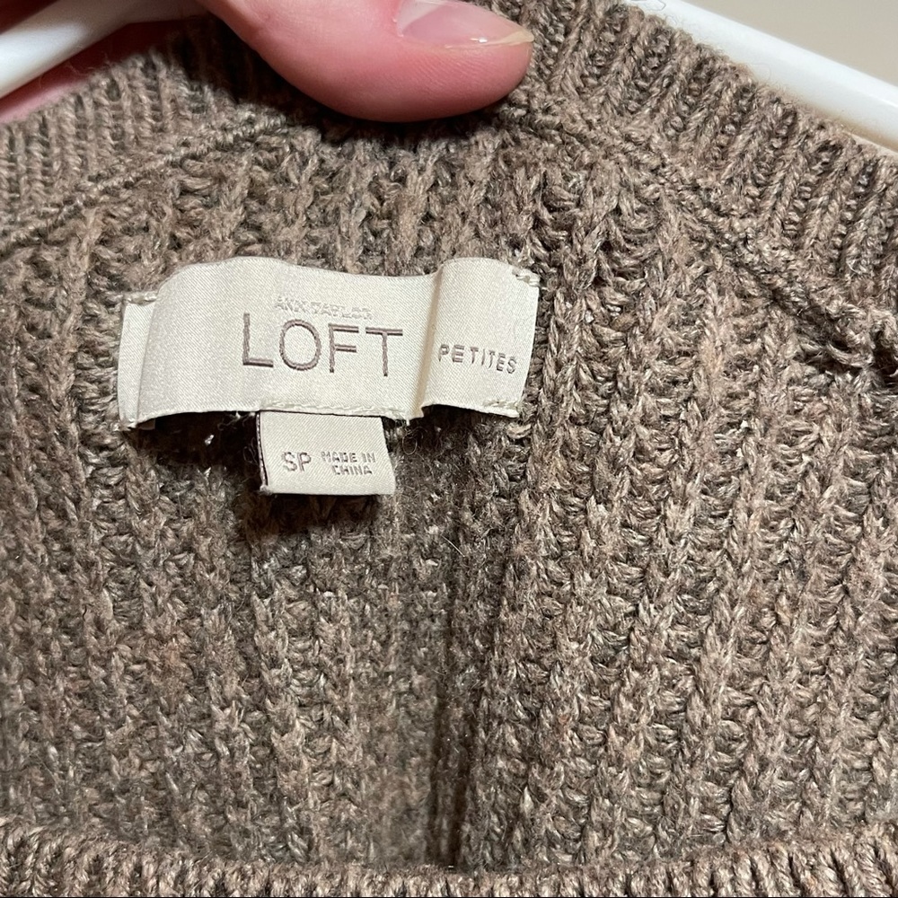 LOFT Knit Sweater | Petite - Picture 4 of 10